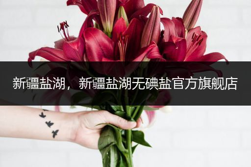新疆盐湖，新疆盐湖无碘盐官方旗舰店