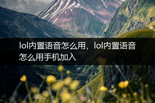 lol内置语音怎么用，lol内置语音怎么用手机加入