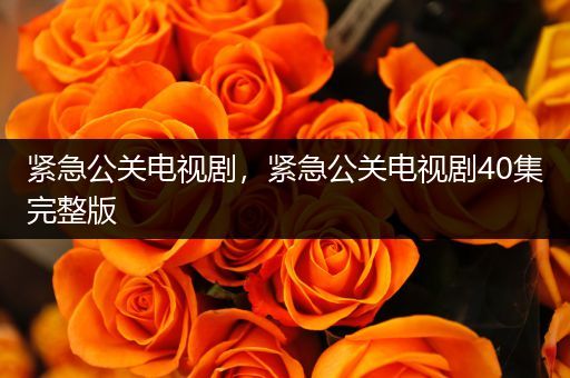 紧急公关电视剧，紧急公关电视剧40集完整版