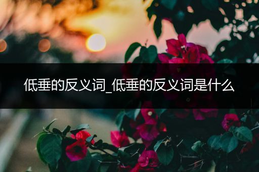 低垂的反义词_低垂的反义词是什么