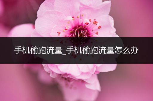 手机偷跑流量_手机偷跑流量怎么办