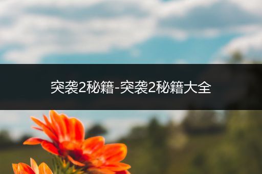 突袭2秘籍-突袭2秘籍大全