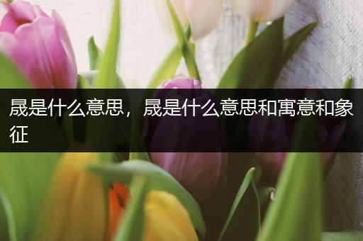 晟是什么意思，晟是什么意思和寓意和象征