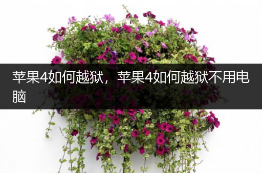 苹果4如何越狱，苹果4如何越狱不用电脑