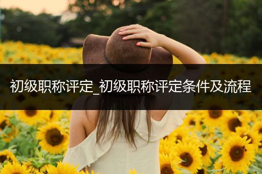 初级职称评定_初级职称评定条件及流程