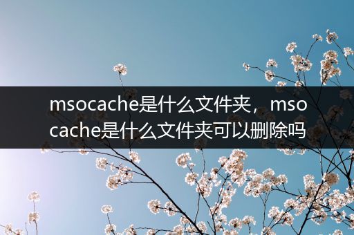 msocache是什么文件夹，msocache是什么文件夹可以删除吗