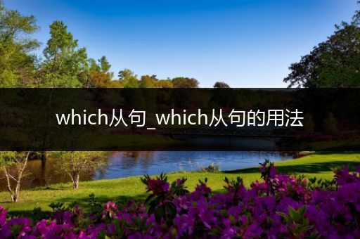 which从句_which从句的用法