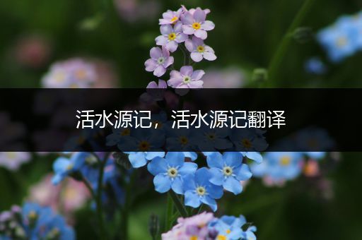 活水源记，活水源记翻译