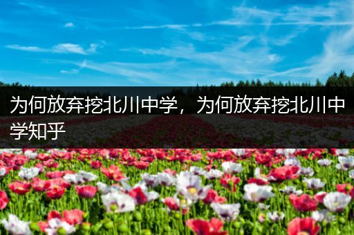 为何放弃挖北川中学，为何放弃挖北川中学知乎