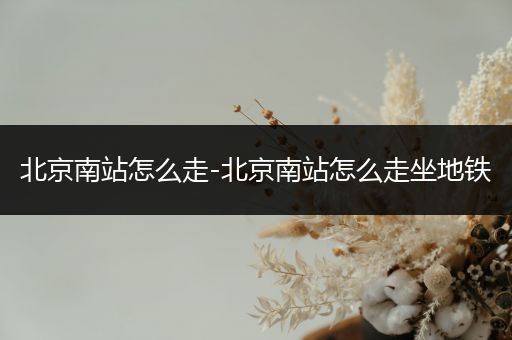 北京南站怎么走-北京南站怎么走坐地铁
