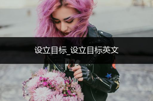 设立目标_设立目标英文