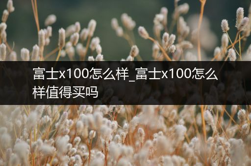 富士x100怎么样_富士x100怎么样值得买吗