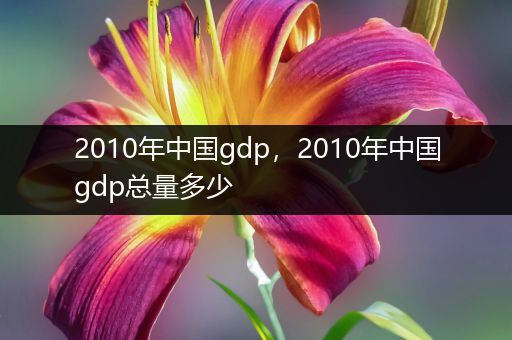 2010年中国gdp，2010年中国gdp总量多少