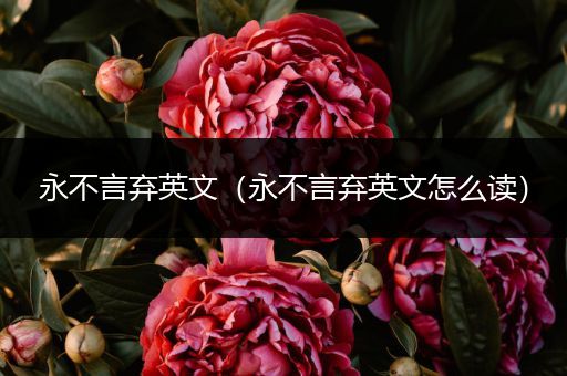 永不言弃英文（永不言弃英文怎么读）