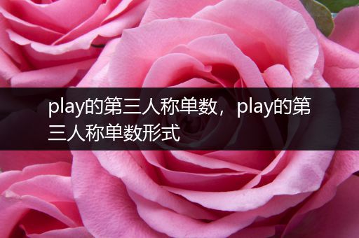 play的第三人称单数，play的第三人称单数形式