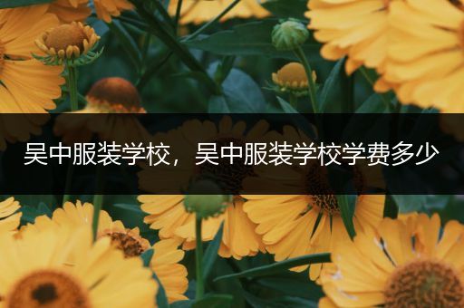 吴中服装学校，吴中服装学校学费多少