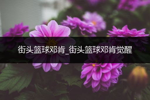 街头篮球邓肯_街头篮球邓肯觉醒