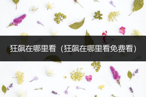 狂飙在哪里看（狂飙在哪里看免费看）