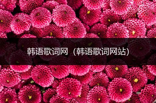 韩语歌词网（韩语歌词网站）