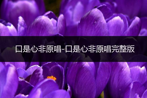 口是心非原唱-口是心非原唱完整版