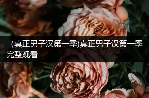 （真正男子汉第一季)真正男子汉第一季完整观看