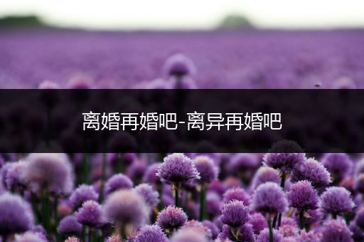 离婚再婚吧-离异再婚吧