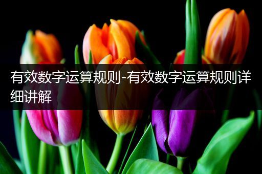 有效数字运算规则-有效数字运算规则详细讲解