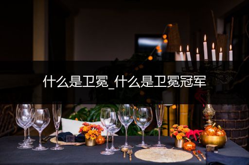什么是卫冕_什么是卫冕冠军