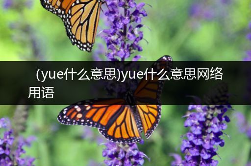 （yue什么意思)yue什么意思网络用语