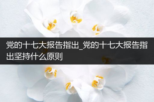 党的十七大报告指出_党的十七大报告指出坚持什么原则