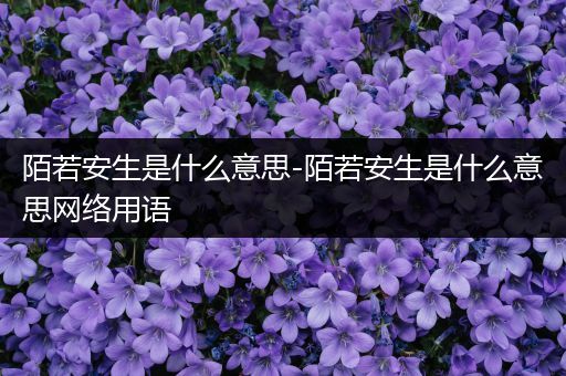 陌若安生是什么意思-陌若安生是什么意思网络用语