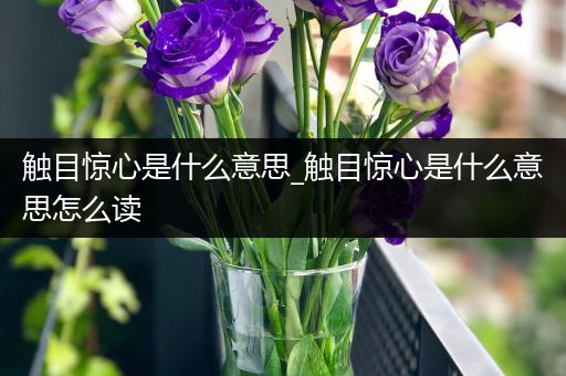 触目惊心是什么意思_触目惊心是什么意思怎么读