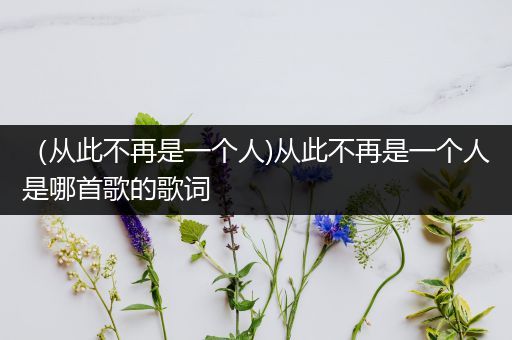 （从此不再是一个人)从此不再是一个人是哪首歌的歌词