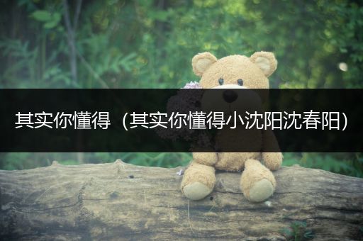 其实你懂得（其实你懂得小沈阳沈春阳）