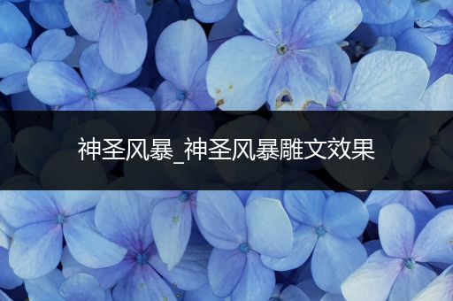 神圣风暴_神圣风暴雕文效果