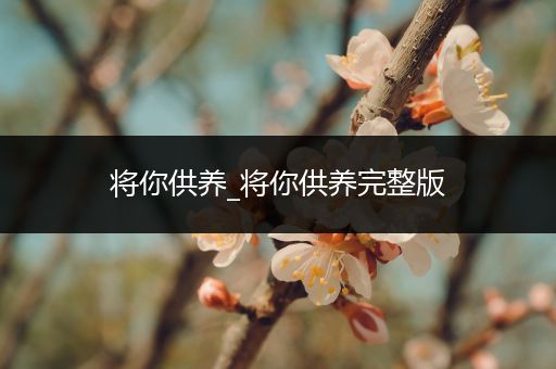 将你供养_将你供养完整版
