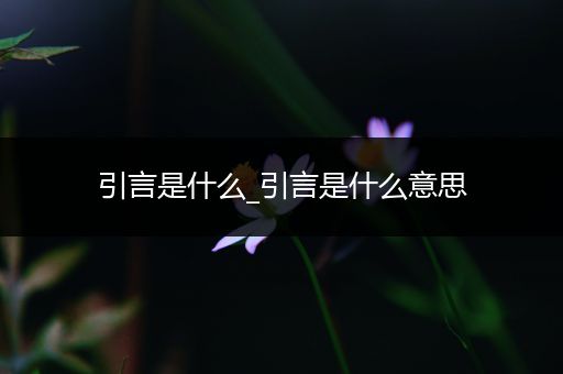 引言是什么_引言是什么意思
