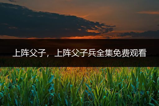 上阵父子，上阵父子兵全集免费观看
