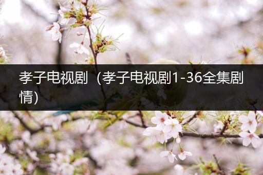 孝子电视剧（孝子电视剧1-36全集剧情）