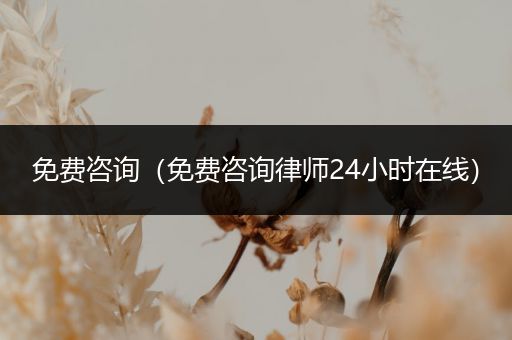 免费咨询（免费咨询律师24小时在线）
