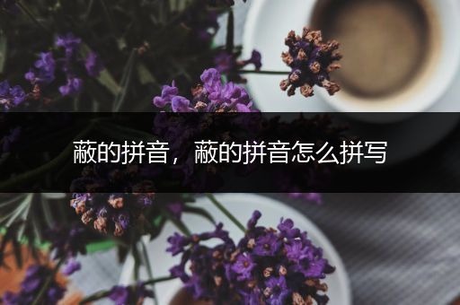 蔽的拼音，蔽的拼音怎么拼写