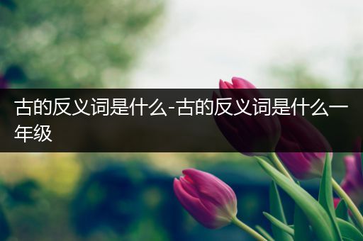 古的反义词是什么-古的反义词是什么一年级