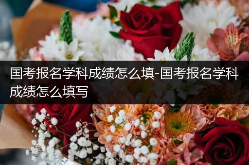 国考报名学科成绩怎么填-国考报名学科成绩怎么填写