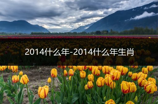 2014什么年-2014什么年生肖
