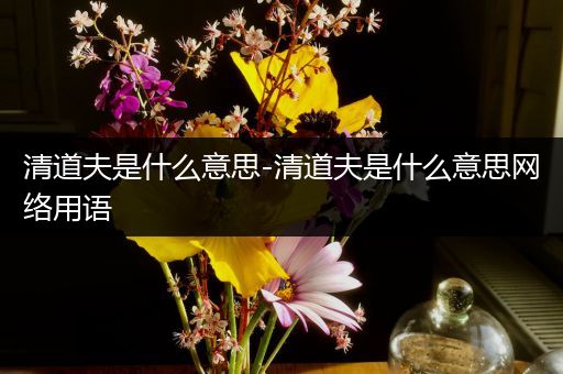 清道夫是什么意思-清道夫是什么意思网络用语
