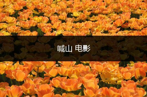 喊山 电影
