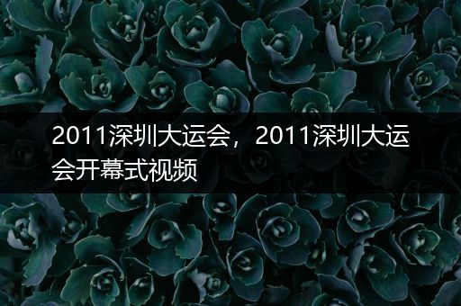 2011深圳大运会，2011深圳大运会开幕式视频