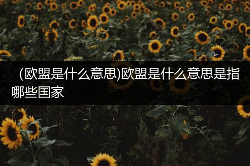 （欧盟是什么意思)欧盟是什么意思是指哪些国家