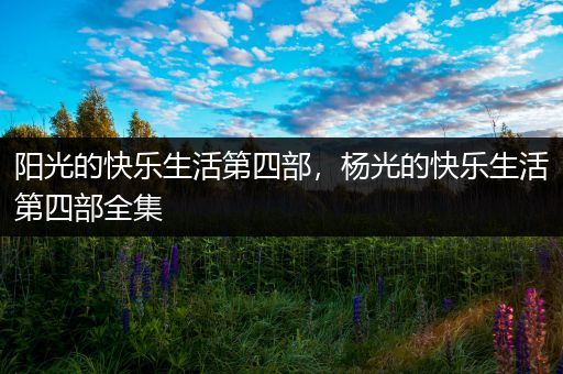 阳光的快乐生活第四部，杨光的快乐生活第四部全集