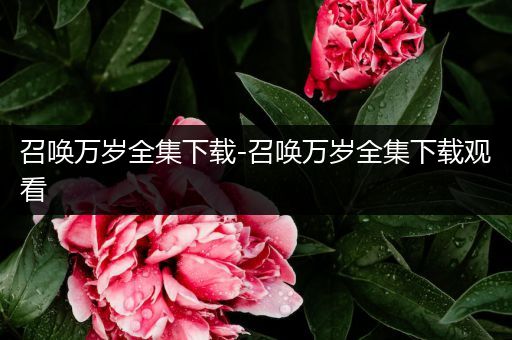 召唤万岁全集下载-召唤万岁全集下载观看